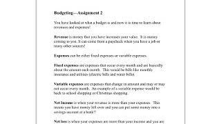 Budgeting—assignment 2 Profile