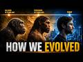 👉The Tree of Life: How Humans Evolved Over Millions of Years