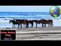 Outer Banks, North Carolina travel vlog Part 3 - Wild mustangs, driving on a beach & amazing views!