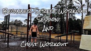 15 Year Old Beginner Street Workout Chest Day