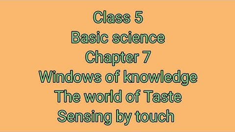 class 5, Basic science, chapter 7,Windows of knowledge, The world of Taste, Sensing by touch.