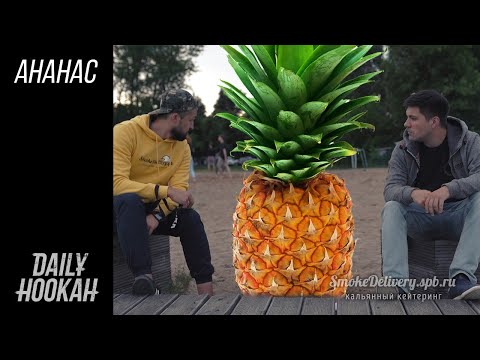 ОБЗОРЫ /Анпакинг из тропиков табак Daily Hookah Ananas