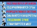 Как простое омовение защищает от РАКА и других страшных болезней?