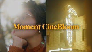 DON'T BUY A ProMist or PolarPro Filter Without Watching This... | MOMENT CineBloom Filters Review screenshot 3