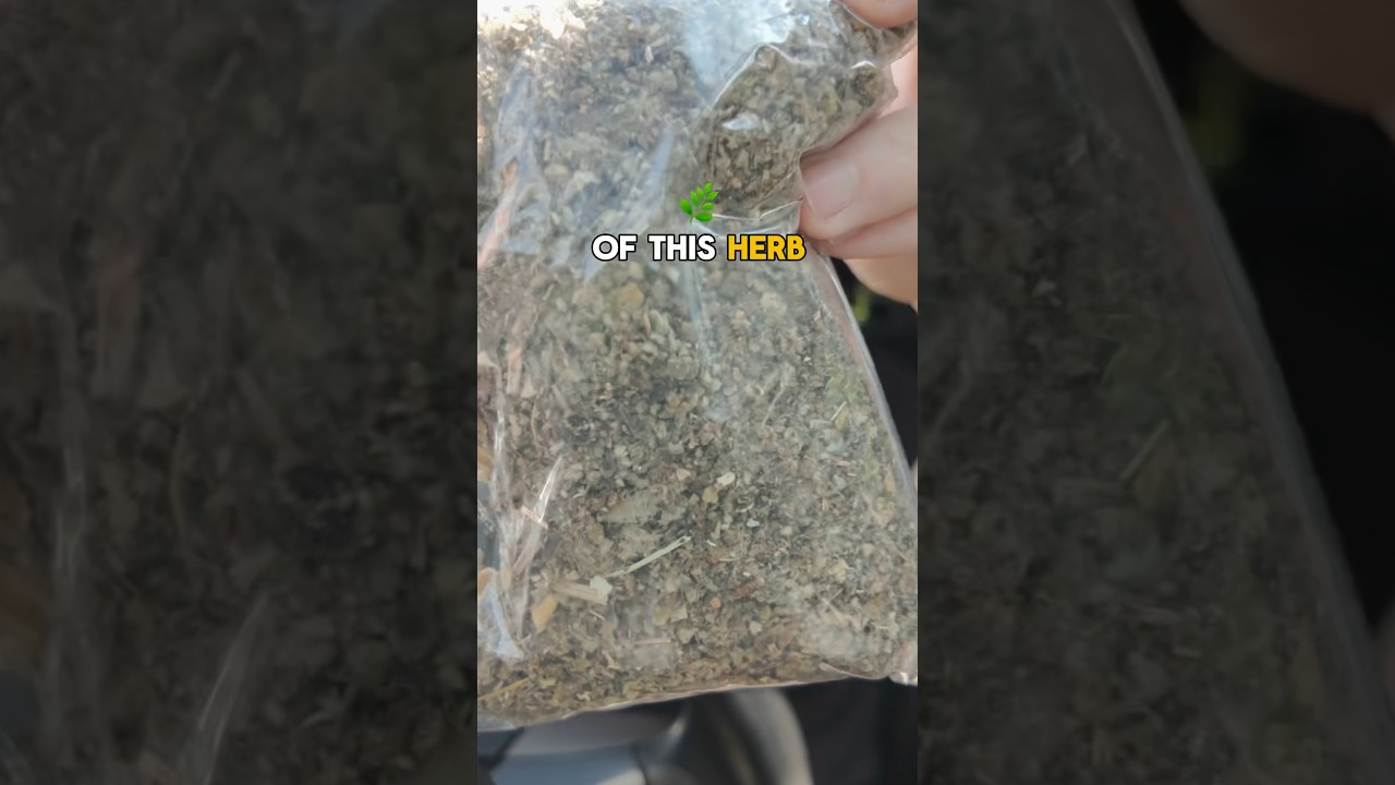 What’s a lung care routine? 