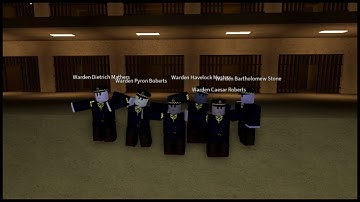 The Rogue Lineage Junior Moderator Experience