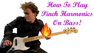 How To Play Pinch Harmonics On Bass!