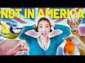 10 British Animals You CAN'T Find in America 🦌 (UK Wildlife)