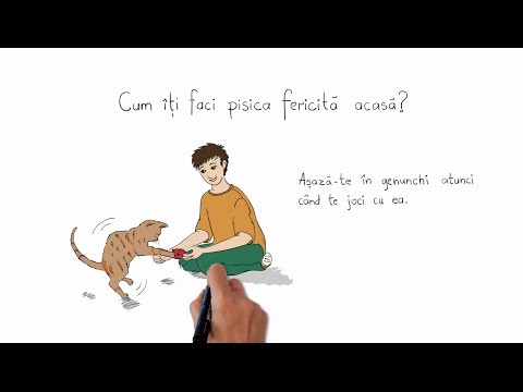 Video: Pentru A Menține Pisica Fericită