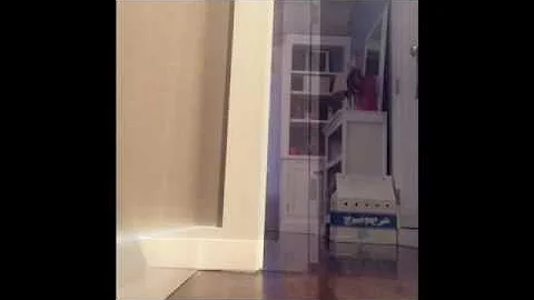 Best flips
