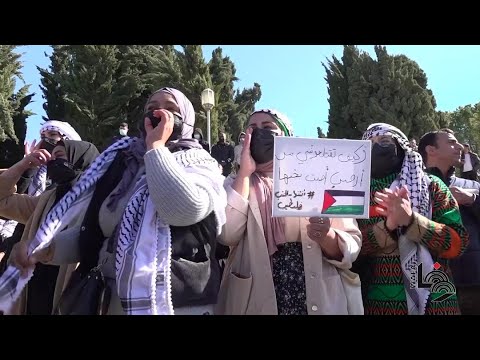 وقفة احتجاجية في القدس تنديدا بالحملة الإسرائيلية ضد أهالي النقب