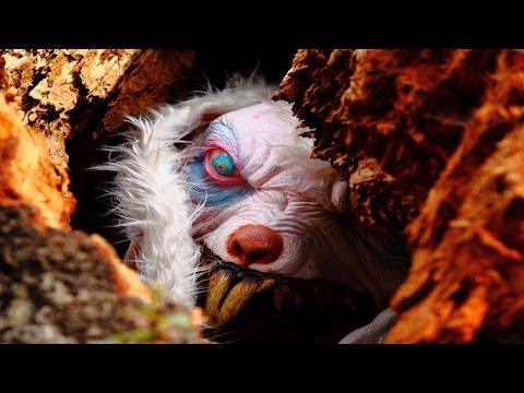 epic-mean-bunny-easter-april-fools-prank