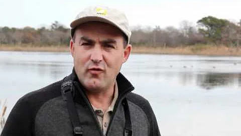 Richard Crossley - Becoming a better birder