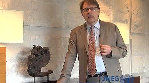 UNEG Lessons and Insights Series - Juha Uitto, UNDP