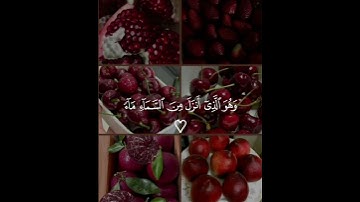 (فأخرجنا به نبات كل شيء)| سورة الأنعام للشيخ ياسر الدوسري