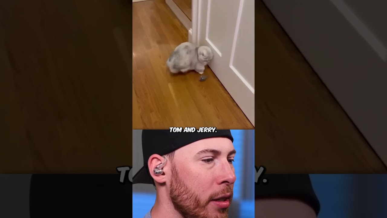 Worlds CUTEST Pets