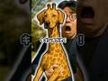 キリン犬に出会った結果…。#究極の2択