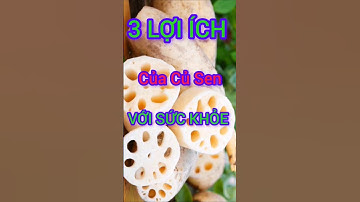 3 Lợi Ích Bất Ngờ Của Củ Sen Có Thể Bạn Chưa Biết #dinhduong #health #suckhoe
