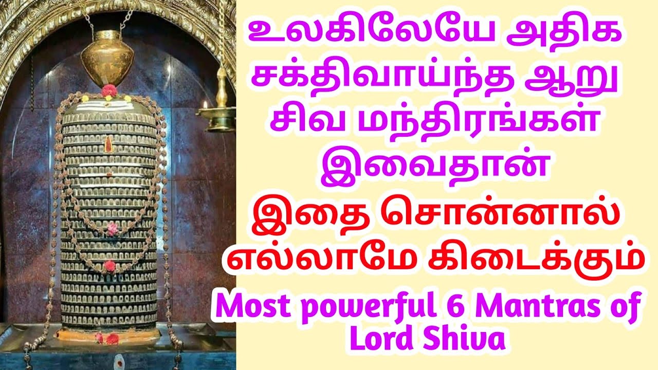 உலகிலேயே அதிக சக்திவாய்ந்த ஆறு சிவ மந்திரங்கள் இவைதான், இதை சொன்னால் எல்லாமே கிடைக்கும்