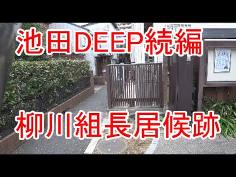 柳川次郎の動画 画像 動画検索 マイルドサイト