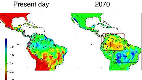 Contemporary Extinctions of Terrestrial Vertebrate...