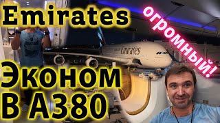 Самолет А380 Эмирейтс внутри. И это Эконом? Перелет на самом крутом самолете A380 Эмирейтс/Emirates.