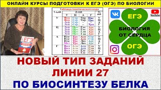 НОВЫЙ ТИП ЗАДАНИЙ ЛИНИИ 27 ПО БИОСИНТЕЗУ БЕЛКА