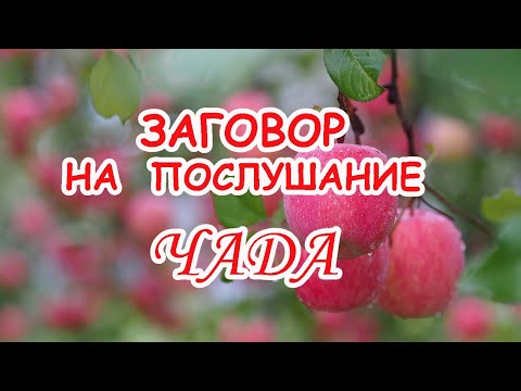 Заговор на Послушание чада🍎