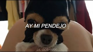 AY MI PENDEJO [VERSION TRAP] (letra)