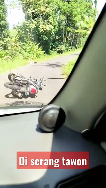 di serang ribuan tawon dijalan, sampai ninggalin motor #shorts #shortsyoutube #shortsvideo