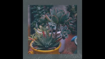 morning star - Bb minor - 115bpm