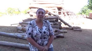 Leñas CholChol ARAUCANIA