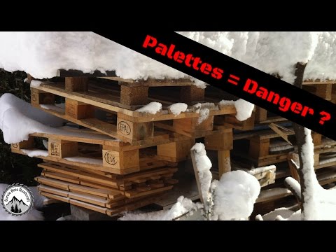 Vidéo: Le bois de palette est-il sans danger pour le jardin ?