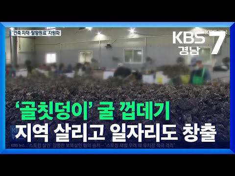 ‘골칫덩이’ 굴 껍데기 자원화…지역 살리고 일자리도 창출 / KBS  2021.11.29.