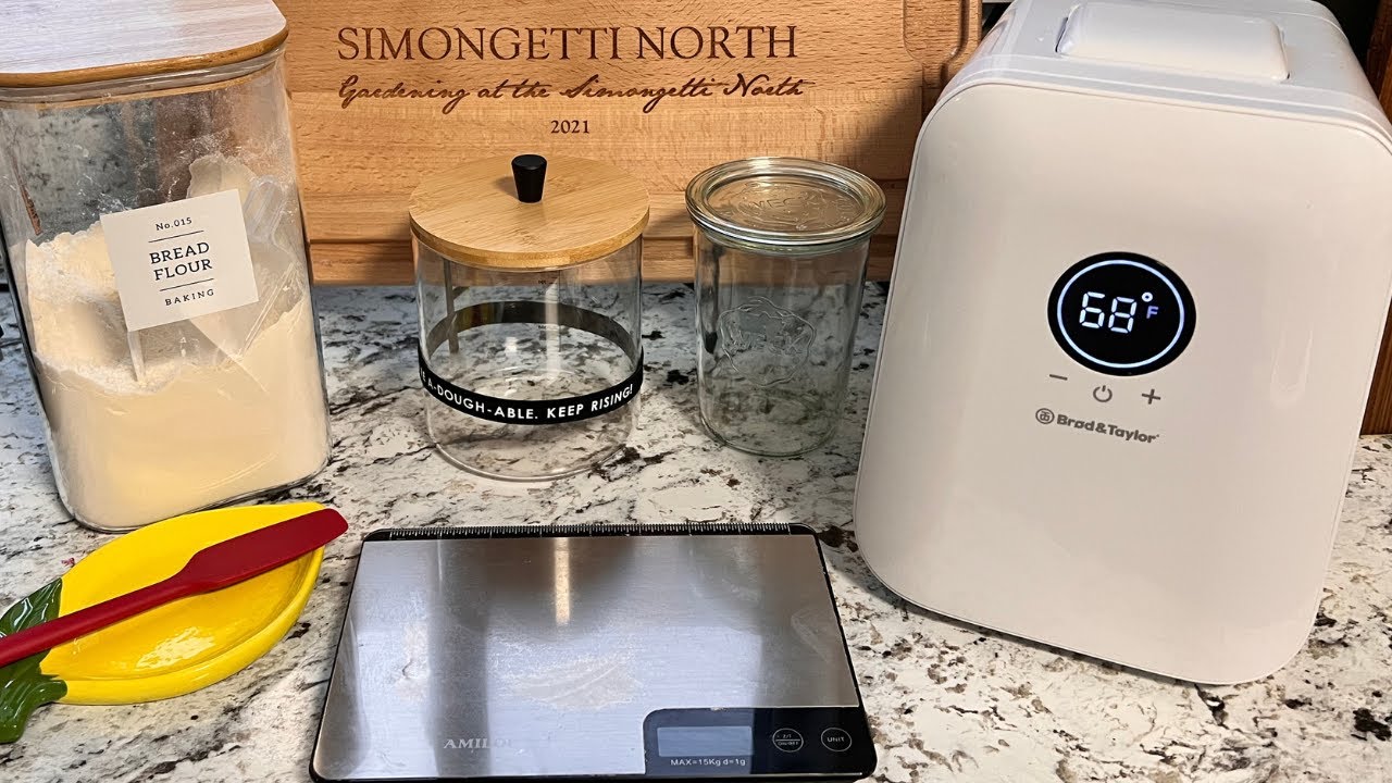 My Weekly Sourdough Starter Feeding Routine That Never Fails!