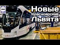 🇷🇺Новые Красноярские Львята. 25 новых трамваев для Красноярска | New trams in Krasnoyarsk