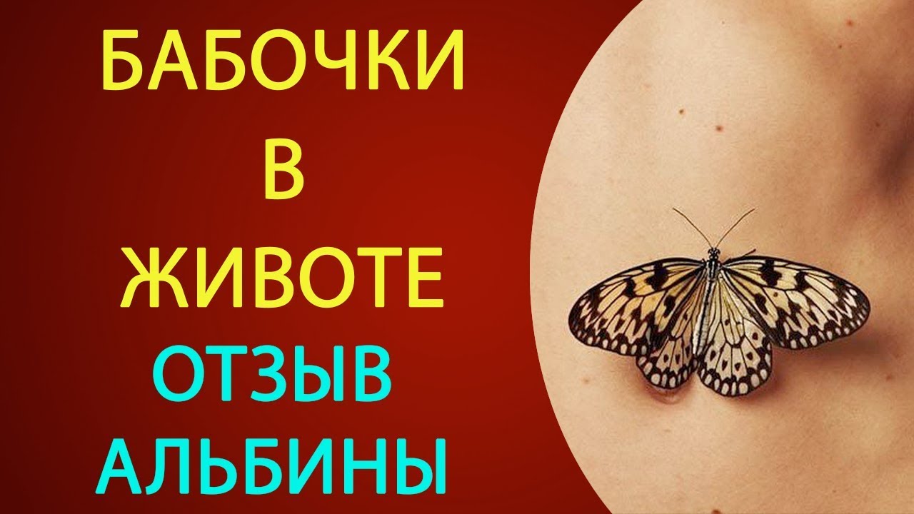 Бабочки в животе. Бабочки в твоем животе. Бабочки в животе цитаты. Отношения с человеком бабочки. Бабочки в животе песня текст