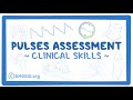 Clinical Skills: Pulses assessment