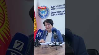"Учкунда" басылган китептер эмнеге сатылып жатат?
