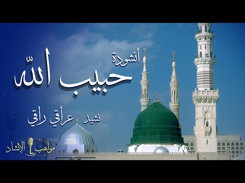 نشيد حبيب الله باللهجة العراقية 2022 اناشيد اسلامية عراقية احلى نشيد عراقي بحب رسول الله ﷺ