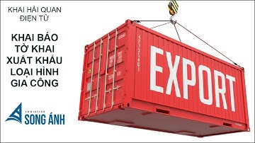 Khai Báo Hải Quan Điện Tử Loại Hình Gia Công FCL & LCL
