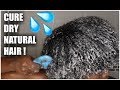 FINALLY FOUND THE CURE FOR MY DRY NATURAL HAIR || OVERNIGHT HYDRATION ROUTINE