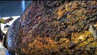 HOW COULD THIS TREE SELL FOR $1000 AT SAWMILL? screenshot 5