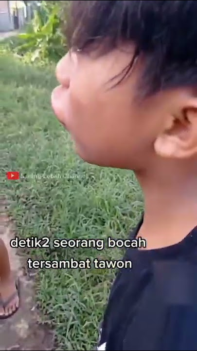 detik detik bocil di sengat tawon