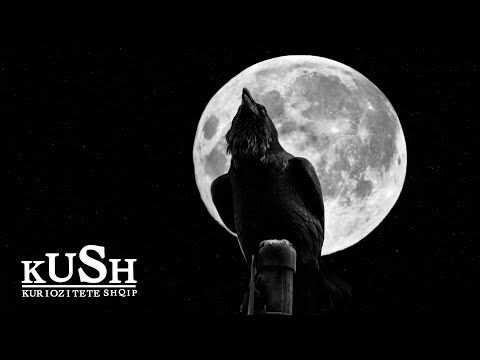 Video: Si Të Fotografoni Hënën Gjatë Natës