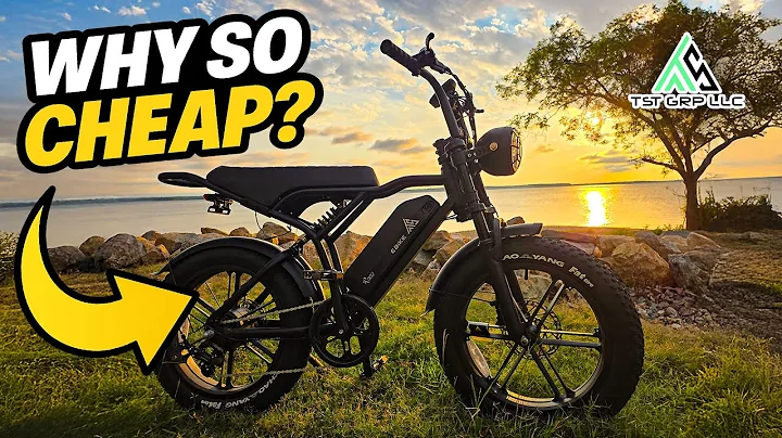 The Cheapest 1500W E-Bike?! TST R002