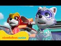 PAW Patrol: La Pat' Patrouille | Missions de feu et de glace pour les Super chiots | Nickelodeon Jr.