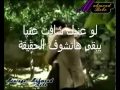الي يعرف حد زيك رضا مندور محمود بيبو YouTubevia Torchbrowser Com 