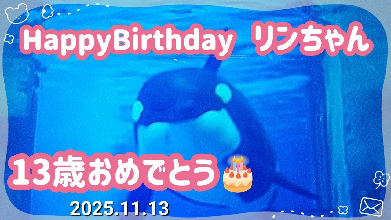 リン、生まれてきてくれてありがとう🎂名古屋港水族館 - YouTube