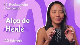 [#3] REABSORÇÃO E SECREÇÃO TUBULAR: ALÇA DE HENLE | MK Fisiologia